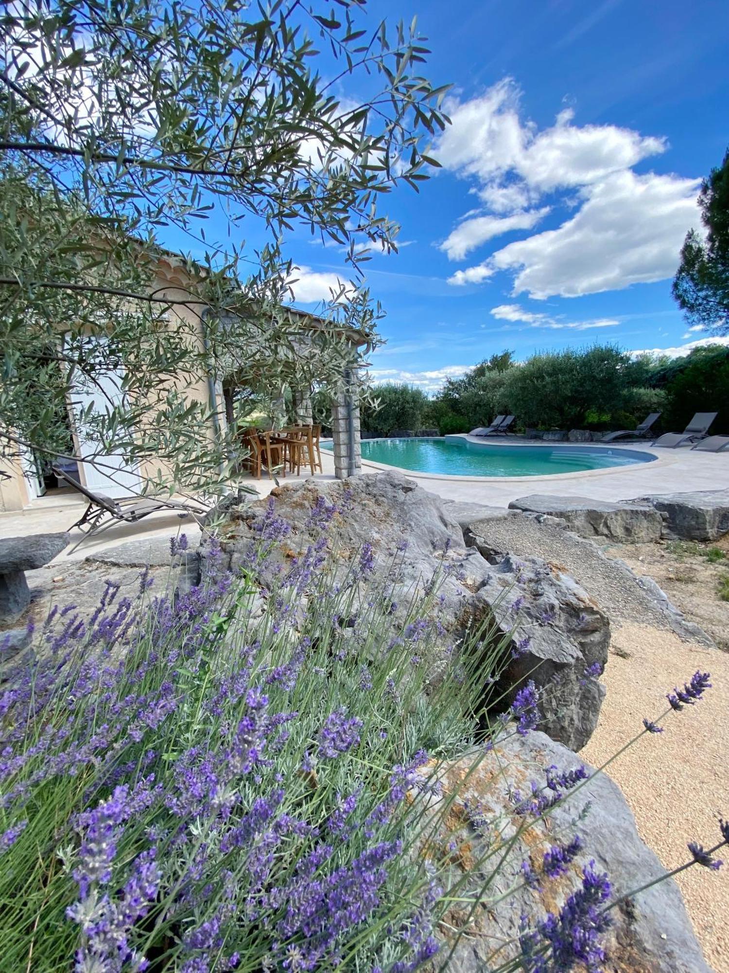 Maison Pour 12P, Piscine A Debordement Chauffee D'Avril A Octobre Inclus Ruoms Exteriör bild